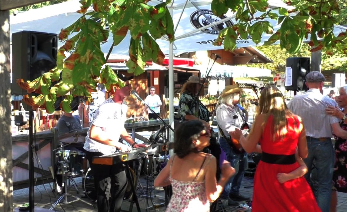 The Band on stage at the Hopfengarten